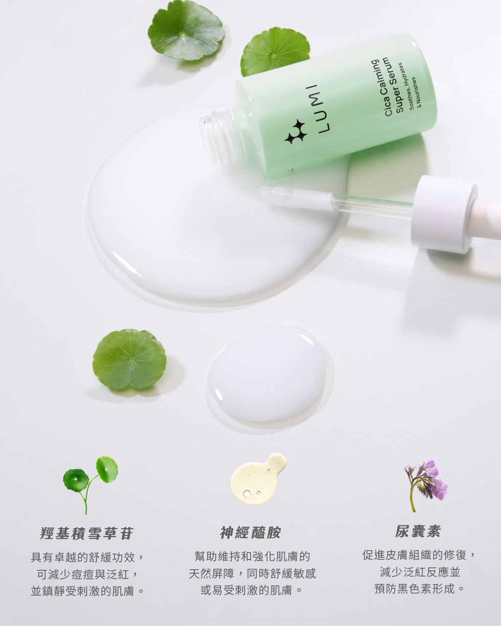 榮獲大獎肯定~積雪草護敏二重奏