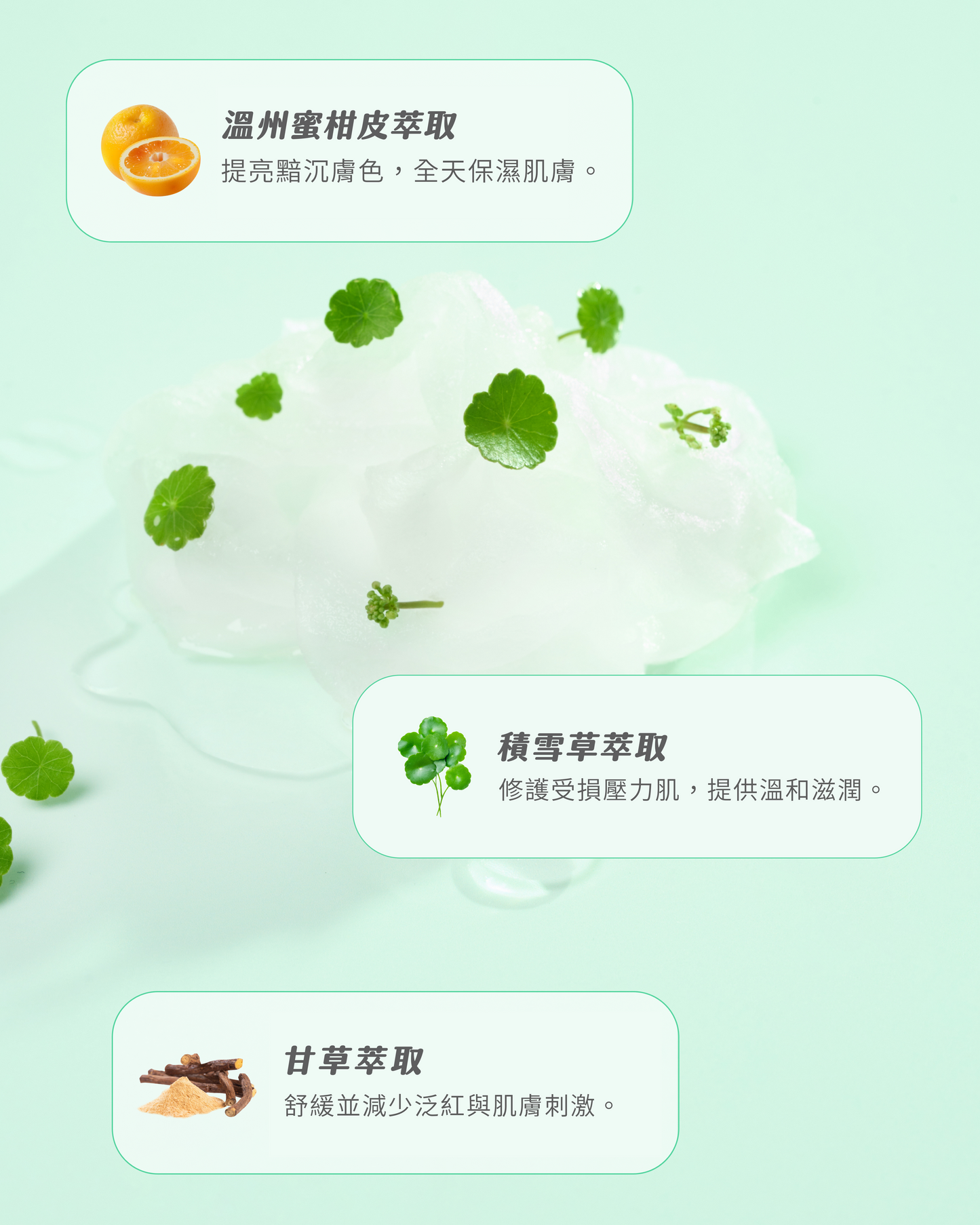 榮獲大獎肯定~積雪草護敏二重奏